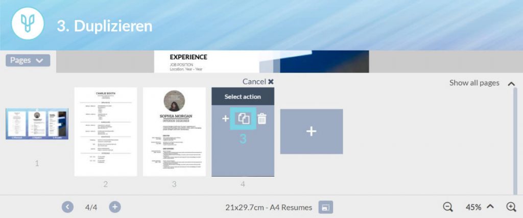 lebenslauf gestalten